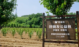 ���ι���|UB8���ι���|�������ý���