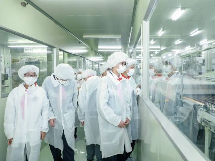 ���ι���|UB8���ι���|�������ý���