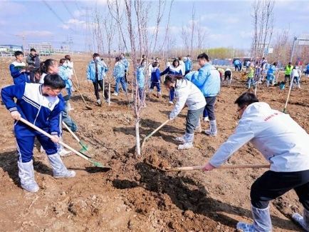 ���ι���|UB8���ι���|�������ý���