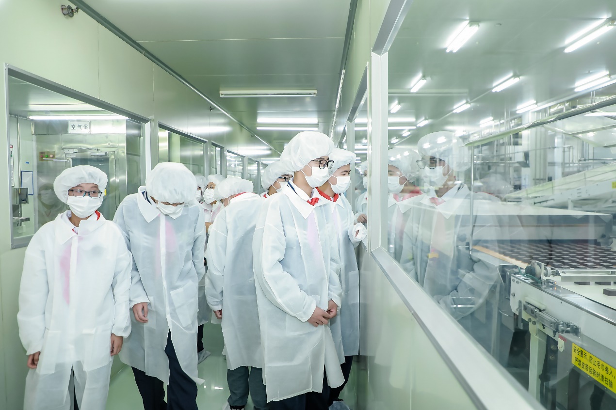 ���ι���|UB8���ι���|�������ý���